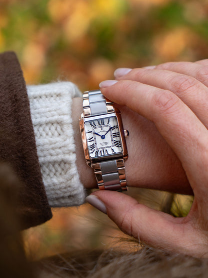 Emily 22x19mm Two-hands Two-tone White dial Stainless steel swiss watch