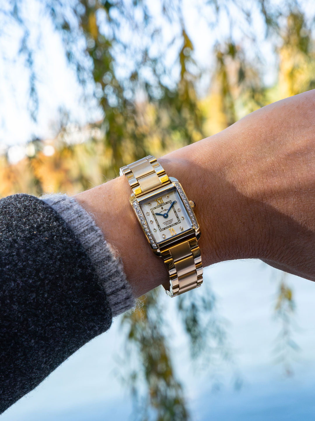 Emily 22x19mm Two-hands Two-tone White dial with Stones Stainless steel swiss watch